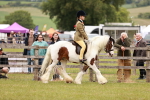 SBM_06198