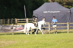 SBM_10981