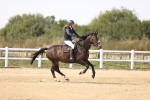 SBM_002861
