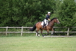 Lyford Stud - HT 29-06-25 portfolio