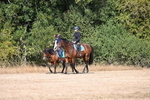 WJ6_7863
