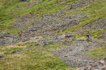 Borrowdale-63