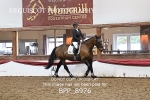 BPP_8976
