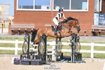 Cls 11 1.10m Amateur Quali portfolio