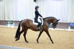 SBM_007954
