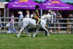SBM_06436