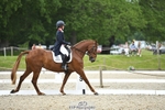 112-BILLY_MAPLE-Kitty_King-WEDTrotUp+DR portfolio