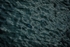 Topography 1 -RLP23355