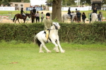 SBM_71563