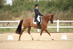 SBM_020206
