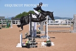 BPP_1318