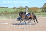 BPP_8529