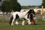 SBM_10542
