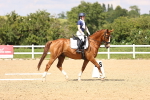 SBM_002082
