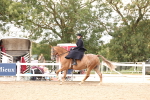 SBM_16409