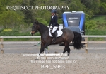 BPP_5993