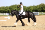 SBM_007838