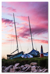 boats