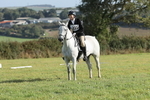 Class 2A: Trekenning Open: Dressage portfolio