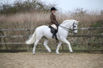 SBM_006296