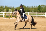SBM_006741