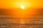 Tail slap at sunrise
