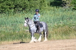 WJ7_7458