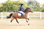 SBM_006378