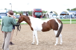 SBM_00278