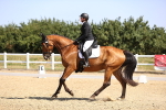 SBM_009456