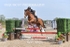 BPP_3824
