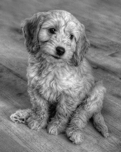 Butter Wouldn't Melt