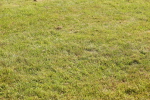 SBM_00669