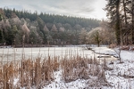 Winter at Mallards Pike - 4