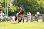 SBM_07216