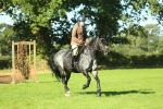 SBM_36464