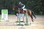 1 British Novice 90cm Open portfolio
