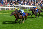 120626-Race 5-Antipodes-0301