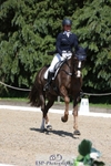 376-DIRECT_BALLYTARSNA_DUCAREL-Jodie_Amos-WEDTrotUp+DR portfolio