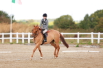 SBM_009244