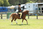 SBM_06782