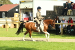 SBM_67497