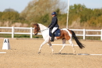 SBM_001553