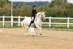 SBM_000174