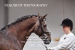 BPP_2808