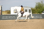 SBM_06840