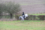 WJ6_5373