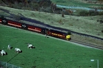 19th Nov 2005