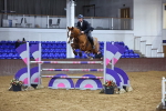 Class 20 - Redpost Equestrian Senior Foxhunter/ 1.20m Open portfolio