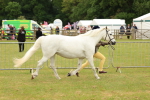 SBM_04173